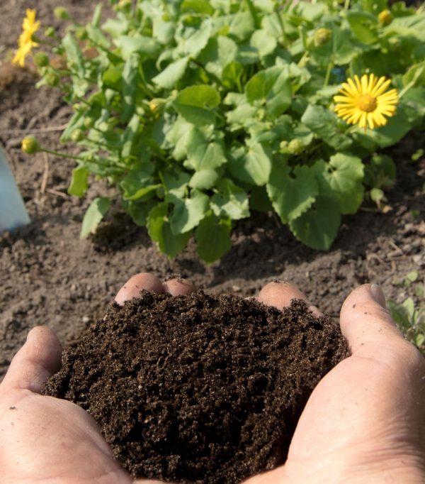 Abono Orgánico de Compost para Suelos Ácidos