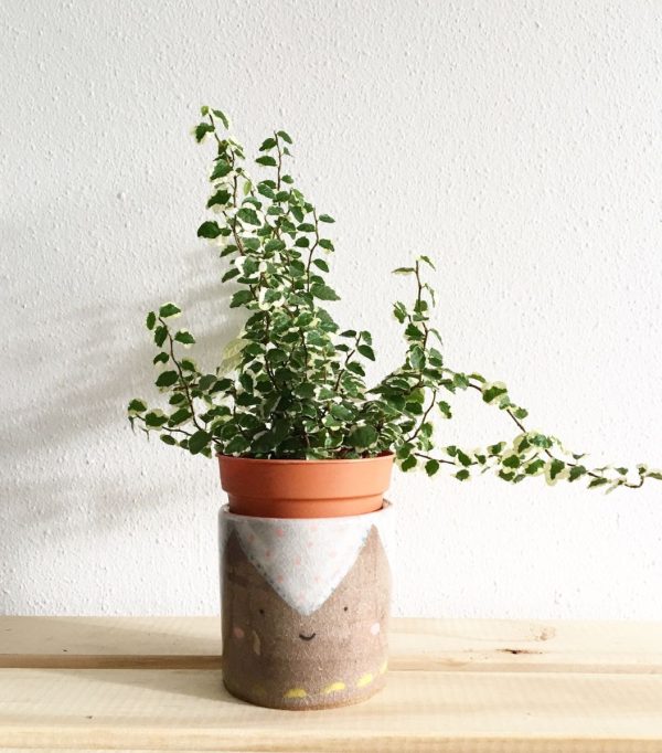 Maceta de Terracota para Plantas Mediterráneas